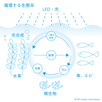 水槽循環の仕組み