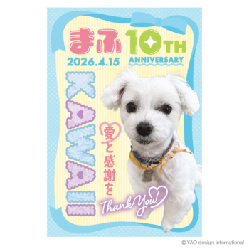 会見の可愛さが伝わる10周年記念ポストカード